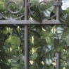 Siepe Sempreverde DOPPIA EDERA 1,5x3 metri