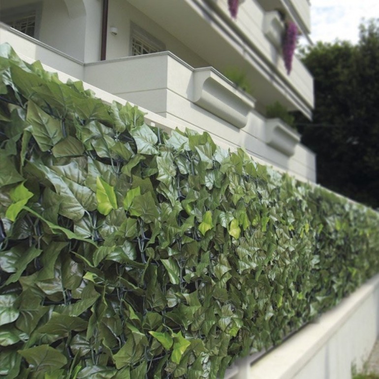 Siepe Sempreverde DOPPIA EDERA 1,5x3 metri