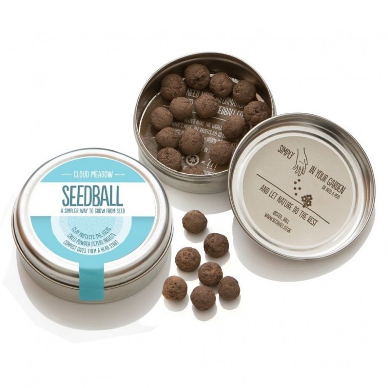 Prato Nuvola Mix Seed balls - Mix di tantissimi fiori di campo di colore bianco. Facilissimo da usare e coltivare