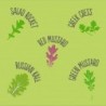 Salad Mix - mix di semi di insalate commestibili, confezione in alluminio