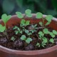 Herbs Mix - mix di semi di piante aromatiche, confezione in alluminio