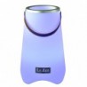 Speaker Le Zen cassa luminosa con 7 colori e collegamento bluetooth con contenitore del ghiaccio incluso