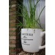 Kit Coltivazione per l'Erba Cipollina, con vaso in ceramica, terriccio e semi