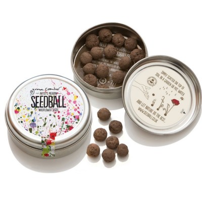Bombe di semi Seedball Miscela Artista con semi di fiori di campo stagionali e perenni
