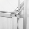 Serra in policarbonato alveolare 6 mm Ezooza Essen 190 x 430 cm con fondamenta