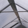 Ezooza Grande Serra Policarbonato 4mm Bochum alveolare 250x550cm antiuv antiurto in policarbonato e alluminio per orto