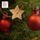 Ezooza Albero di Natale Idea Regalo Originale Natale 2021 Alberello Vero Mini Albero Natale