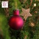 Ezooza Albero di Natale Idea Regalo Originale Natale 2021 Alberello Vero Mini Albero Natale