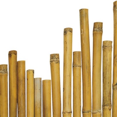 Canna in bambù lunga 2,40 metri - confezione da 5 pezzi