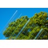 5 Lastre di Policarbonato Corrugato "SuperDur" ONDA 76/18 mm CLEAR 1265X1000mm con protezione UV