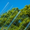 5 Lastra di Policarbonato Corrugato "SuperDur" GRECA 76/18 mm CLEAR 1060X2000mm con protezione UV