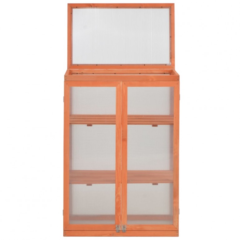 Serra ad armadio in legno con 2 ante e tetto apribili e copertura in policarbonato. Dimensioni 750 x 450 H 1090 mm