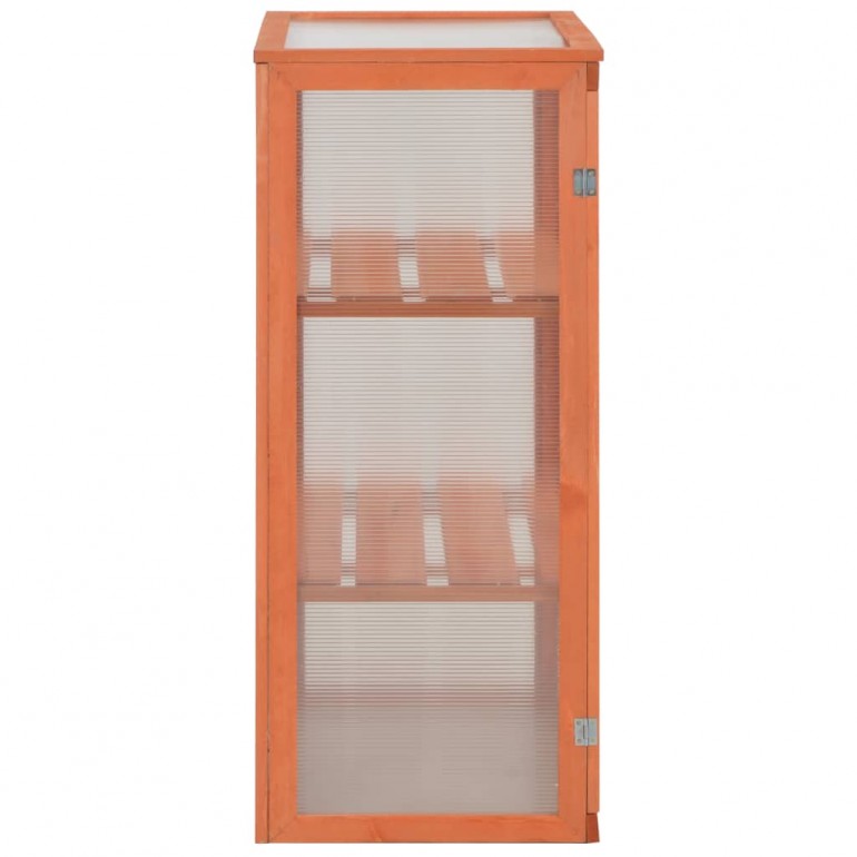 Serra ad armadio in legno con 2 ante e tetto apribili e copertura in policarbonato. Dimensioni 750 x 450 H 1090 mm