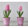 Bloem SP1020 - Vaso per fiori Saturn, 25,4 cm Colore: Tequila Sunrise