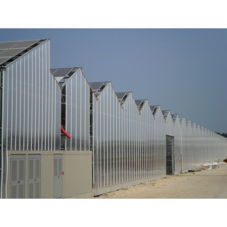 Policarbonato Alveolare 10 mm trasparente 200 x 100 cm lastra anti raggi UV in policarbonato doppia parete