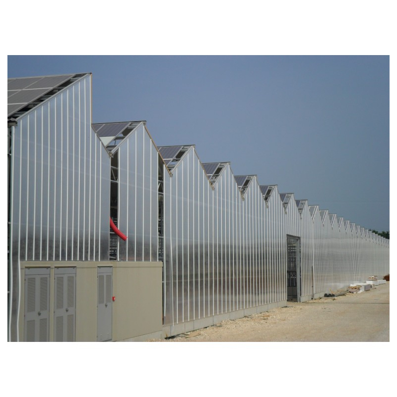 Lastra Policarbonato Alveolare 4mm 2000x1050 mm Trasparente 5 pezzi - Ezooza