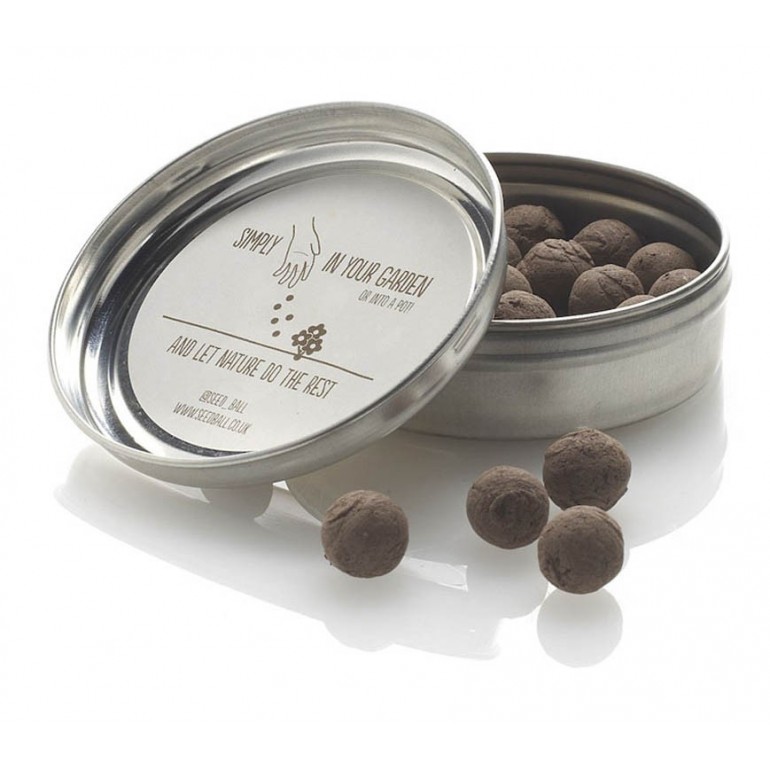 Gift box comprensivo di 3 Seedballs