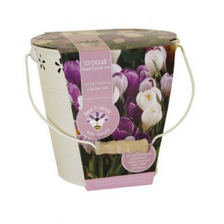 Kit Coltivazione Fiori di Crochi di colori misti, con vaso in metallo, terriccio e bulbi