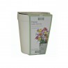 Kit Coltivazione FRESIA a colori misti con vaso in ceramica
