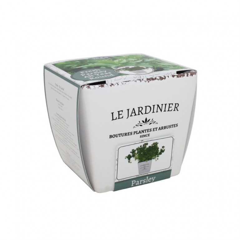 Kit Coltivazione per il Prezzemolo, con vaso in ceramica, terriccio e semi