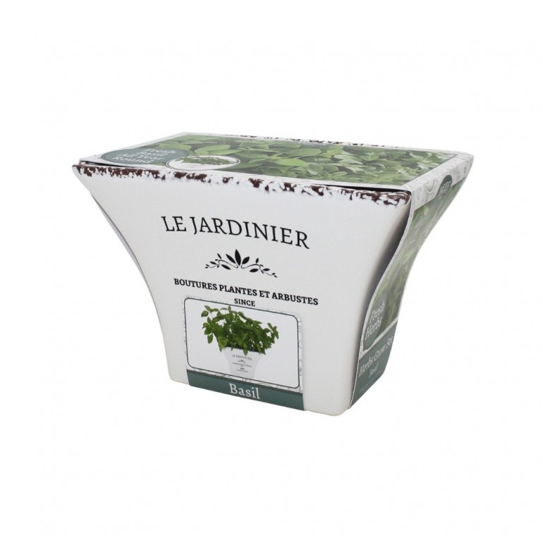 Kit Coltivazione BASILICO