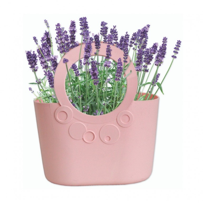 Kit Coltivazione Fiori di Lavanda, con vaso in plastica Rosa, terriccio e semi