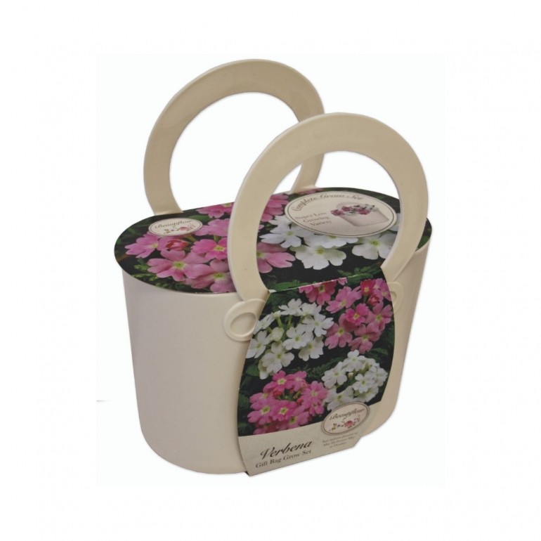 Kit Coltivazione VERBENA con vaso in plastica di colore BIANCO