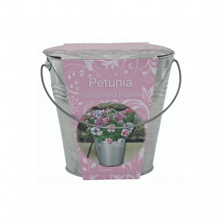 Idea regalo Kit Coltivazione Fiori di Petunia, con vaso in metallo, terriccio e semi