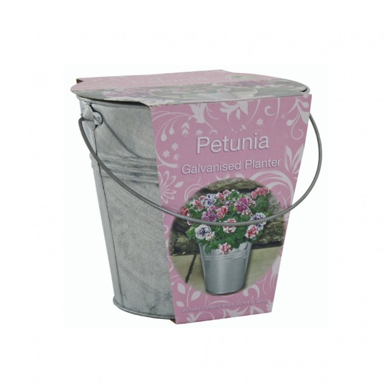 Idea regalo Kit Coltivazione Fiori di Petunia, con vaso in metallo, terriccio e semi