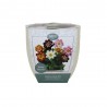 Kit Coltivazione DALIA COLLARETTE