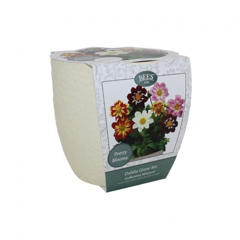 Kit Coltivazione DALIA COLLARETTE
