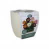 Kit Coltivazione DALIA COLLARETTE