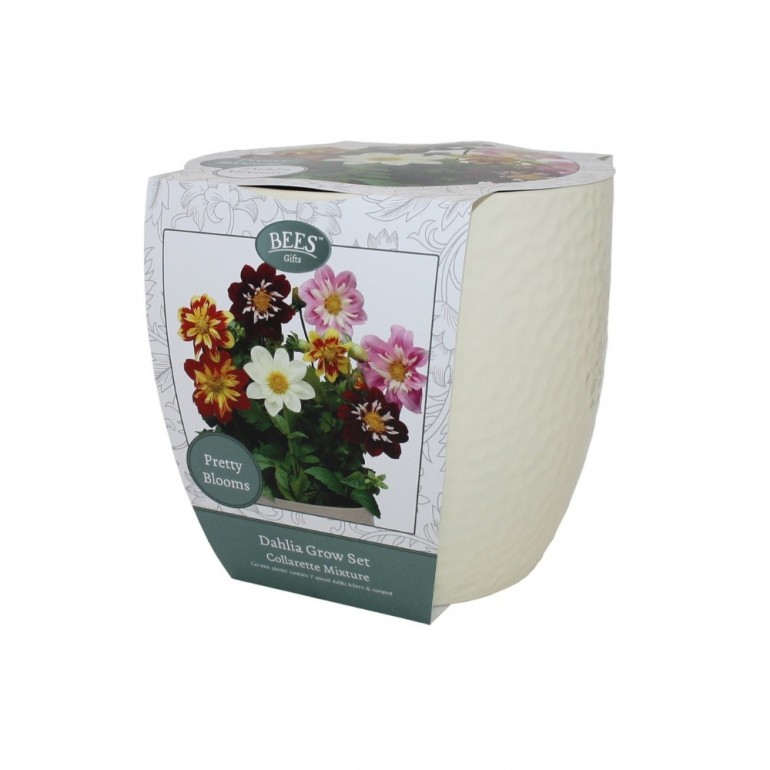 Kit Coltivazione DALIA COLLARETTE
