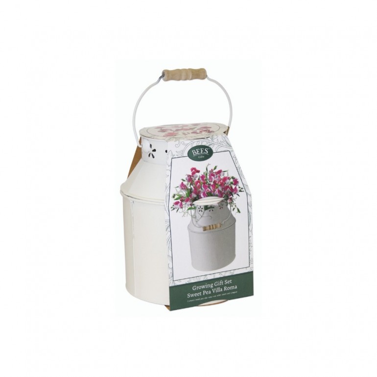 Kit Coltivazione Fiori di Lathyrus Odoratus, con vaso in metallo, terriccio e semi
