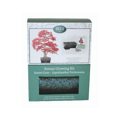 Kit Coltivazione Bonsai "Liquidambar", con vaso, terriccio, scaglie di ardesia e semi