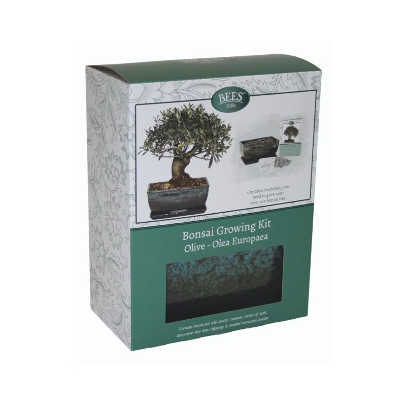 Unboxing di autunnoovvero un bel kit bonsai nuovo di zecca