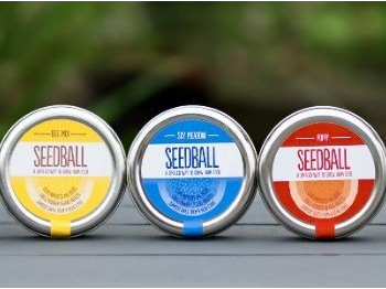 Seedball
